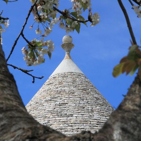 Pietraluce Hostal Alberobello Exterior foto